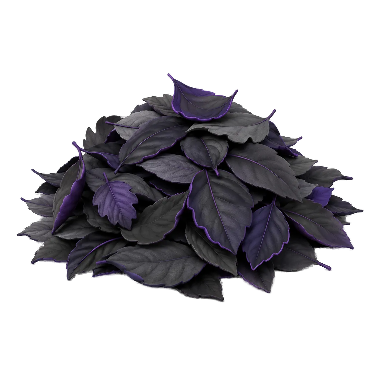 Pile of leaves